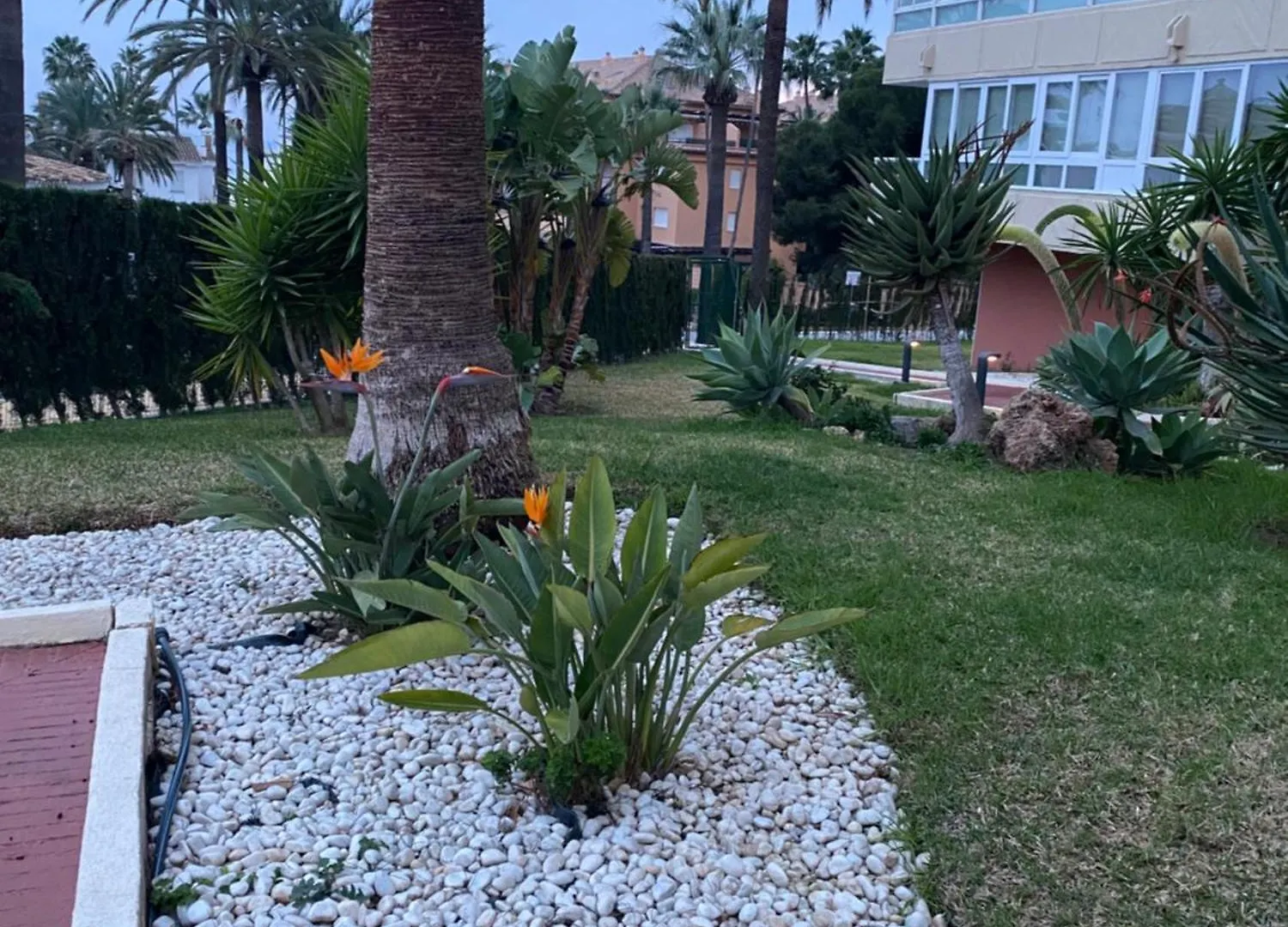 Apartamento Buenavista Marbella 0*,